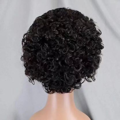 La Pixie Divine — Perruque 13x4 Lace Frontal Kinky Curly (Densité 180%)