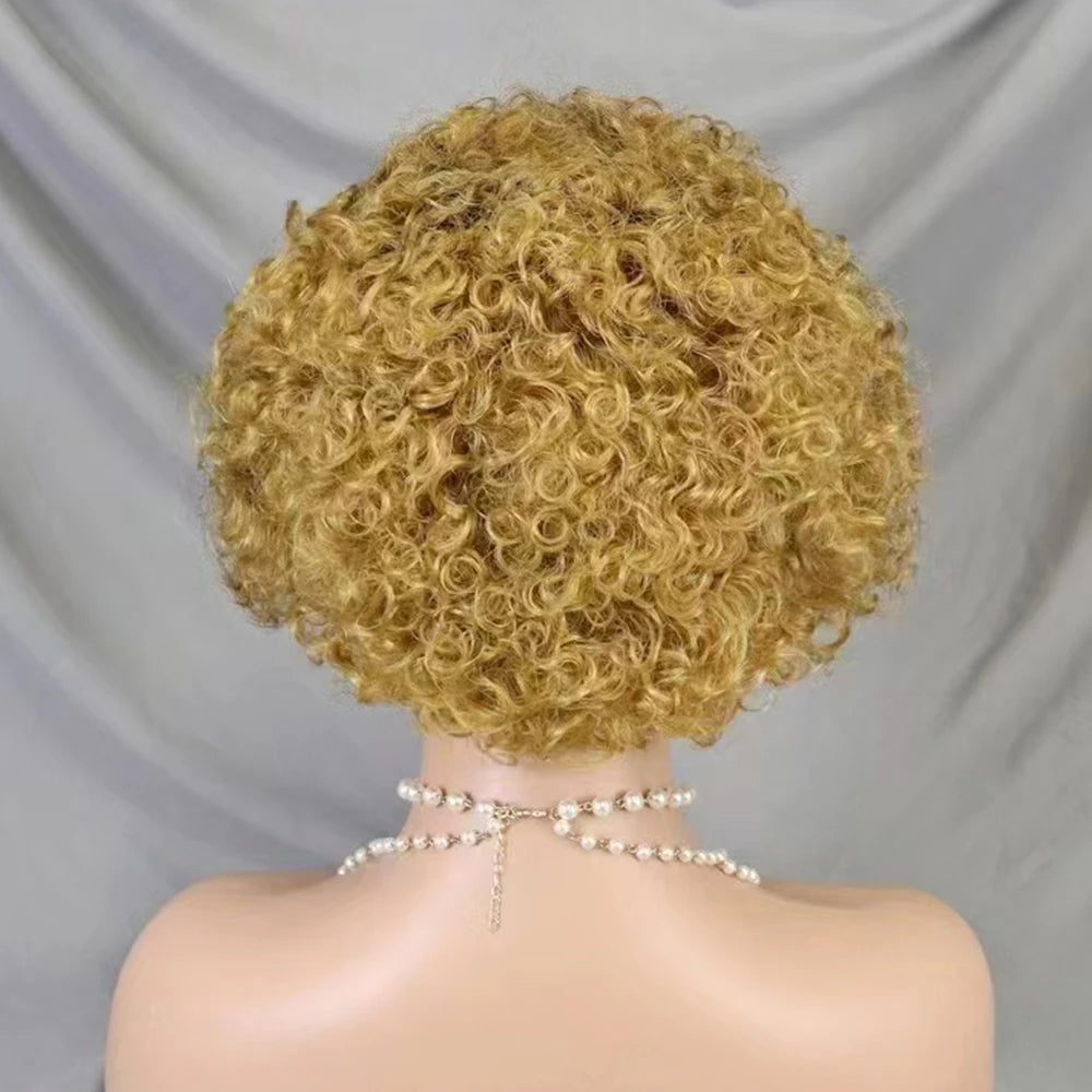 La Pixie Divine — Perruque 13x4 Lace Frontal Kinky Curly (Densité 180%)