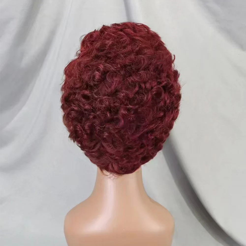 La Petite Audacieuse — Perruque 13x4 Lace Frontal Pixie Curly (Densité 180%)