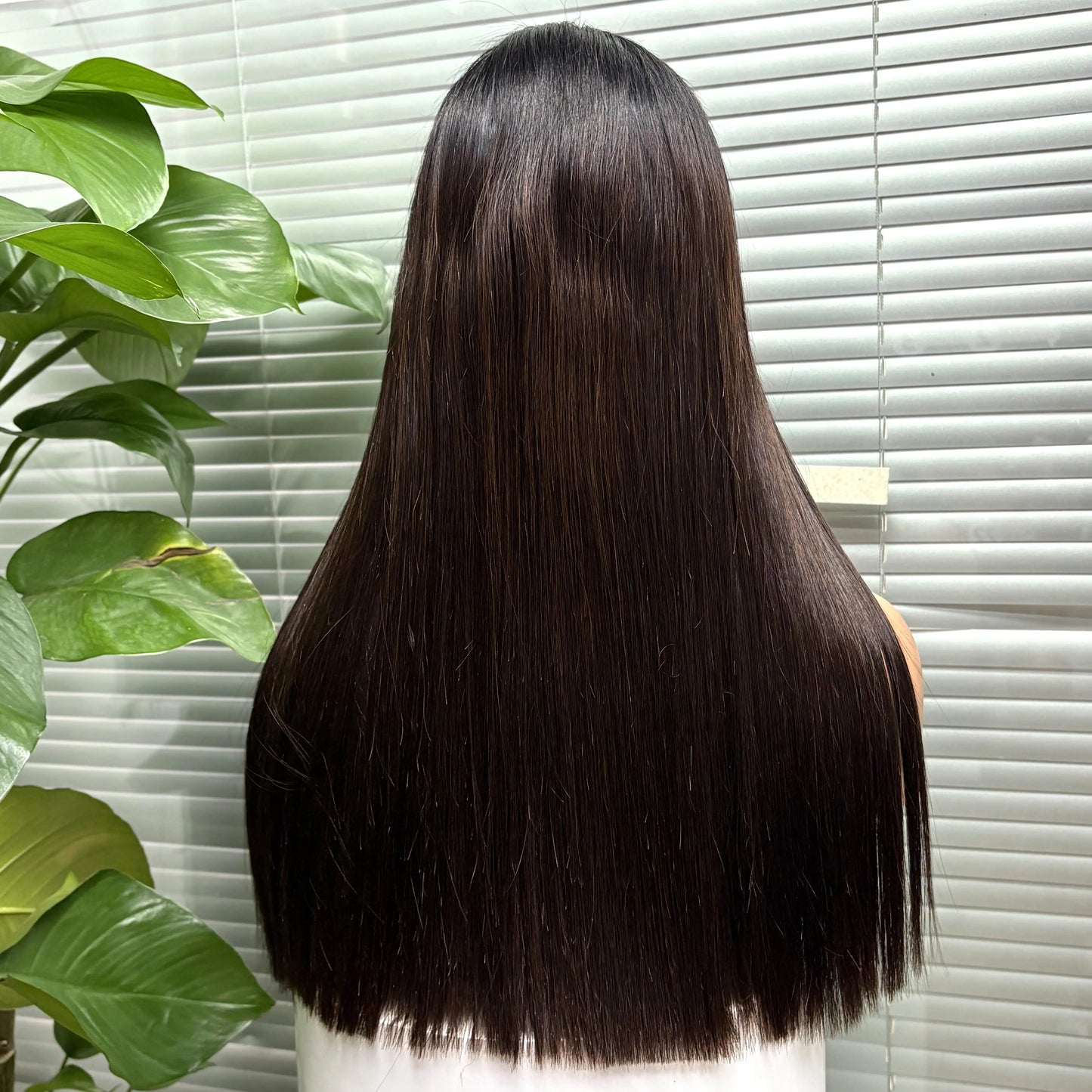 The Divine Straight — 2x6 HD Lace Closure Colored Wig (Density 300%)