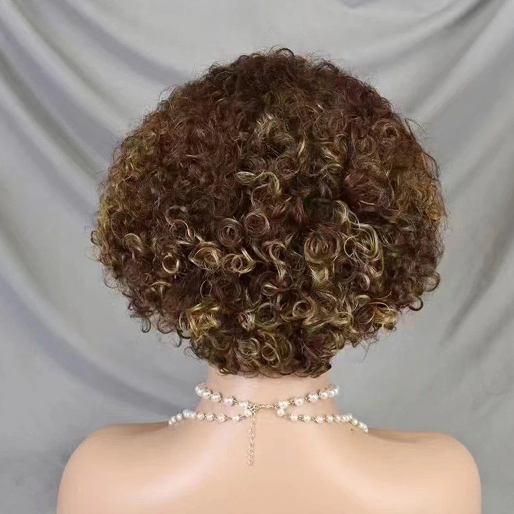 La Pixie Divine — Perruque 13x4 Lace Frontal Kinky Curly (Densité 180%)