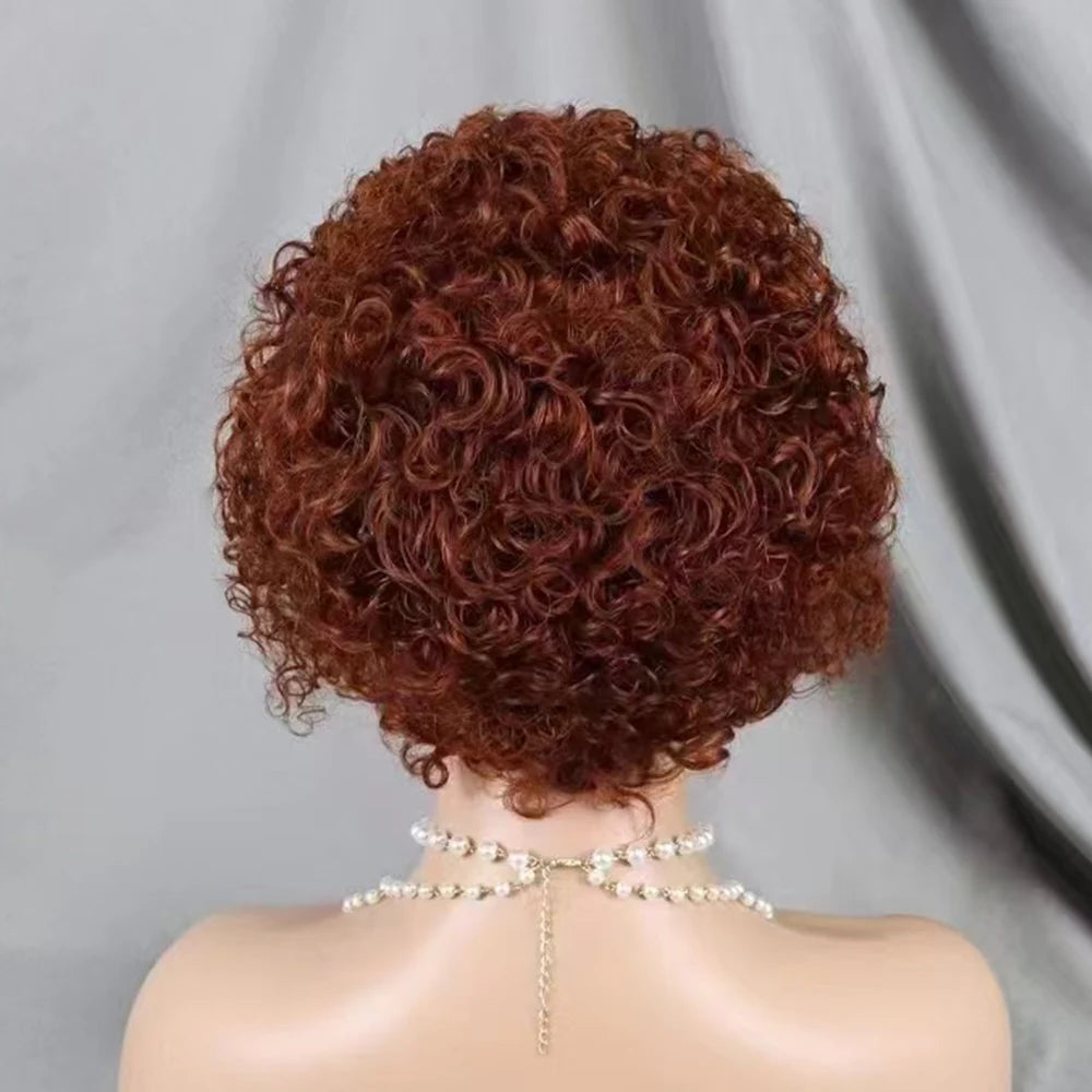 La Pixie Divine — Perruque 13x4 Lace Frontal Kinky Curly (Densité 180%)