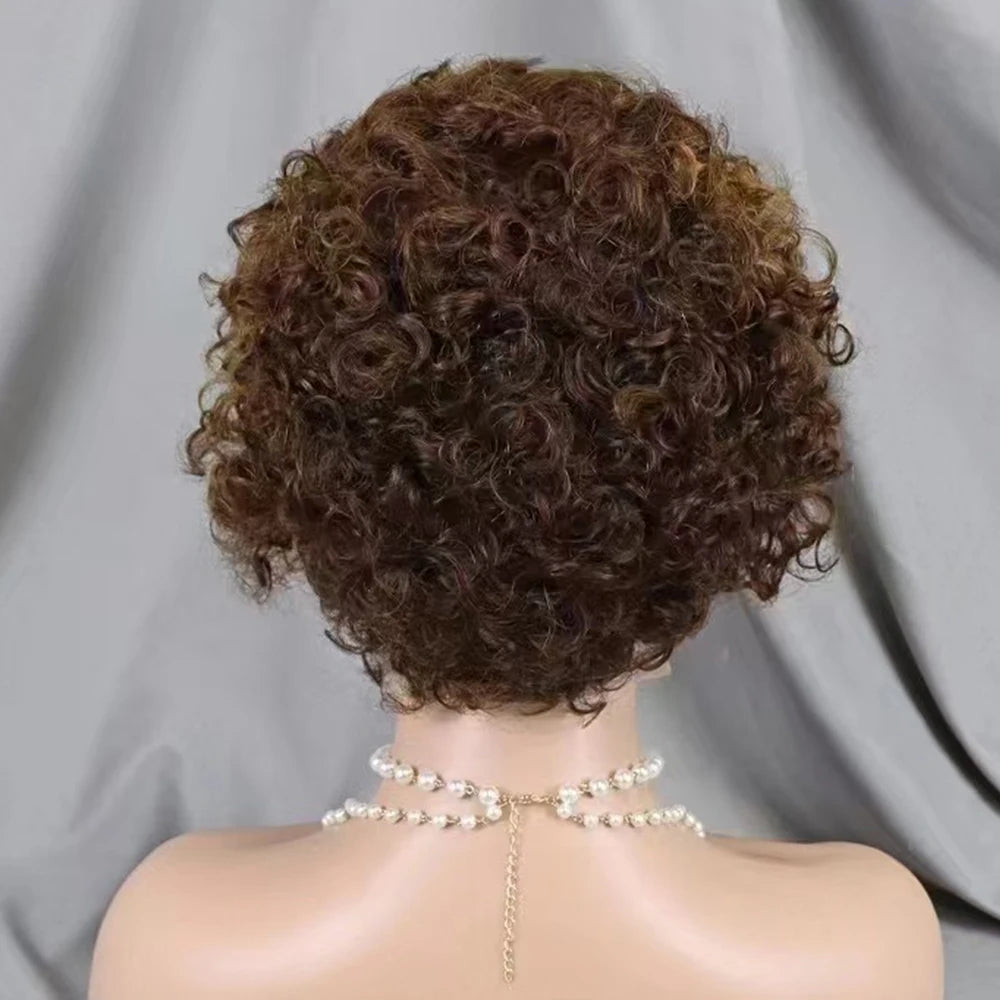 La Pixie Divine — Perruque 13x4 Lace Frontal Kinky Curly (Densité 180%)