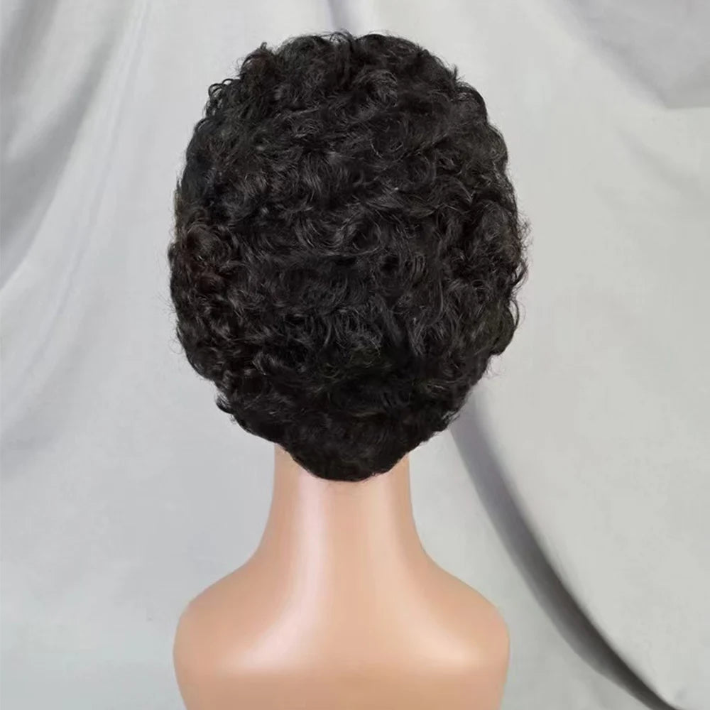 La Petite Audacieuse — Perruque 13x4 Lace Frontal Pixie Curly (Densité 180%)