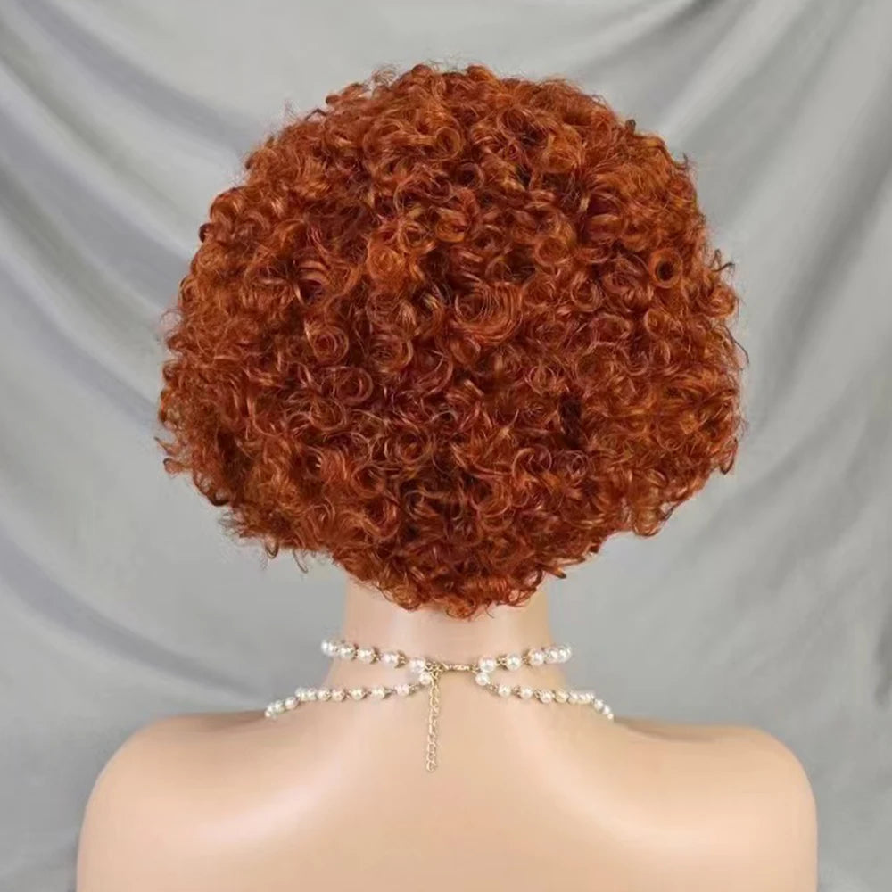 La Pixie Divine — Perruque 13x4 Lace Frontal Kinky Curly (Densité 180%)