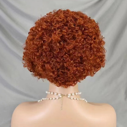 La Pixie Divine — Perruque 13x4 Lace Frontal Kinky Curly (Densité 180%)
