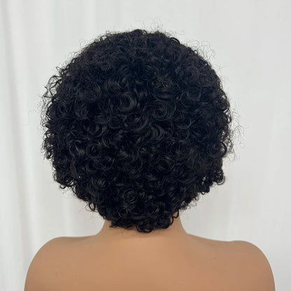 La Pixie Divine — Perruque 13x4 Lace Frontal Kinky Curly (Densité 180%)